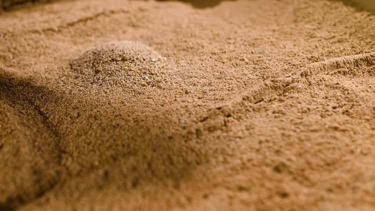 whatsapp image 2025 08 06 at 9.55.40 pm