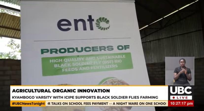 agriculture organic innovation 0